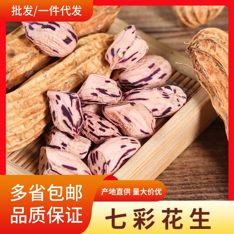 云南七彩花生黑花生2025年农家自产晒干新带壳花生米生熟可选