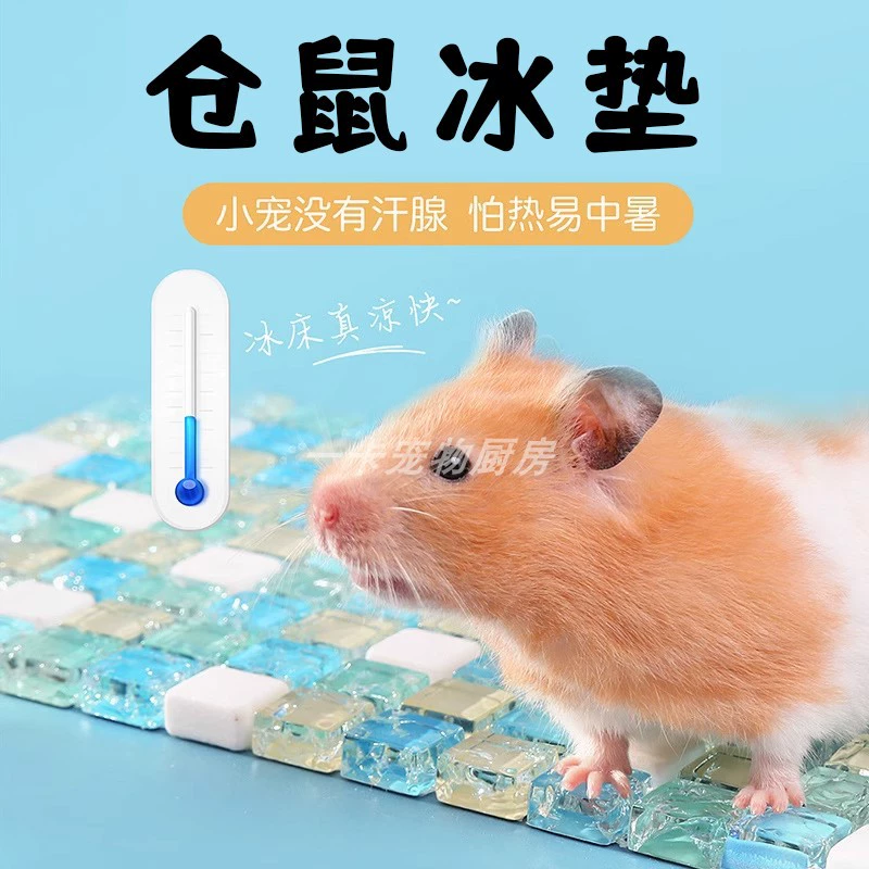 Ледяная подушка для хомяка, специальные летние охлаждающие принадлежности, коврик для кролика, специальный золотой медведь для домашних животных, анти-тепловой удар, шиншилла, артефакт