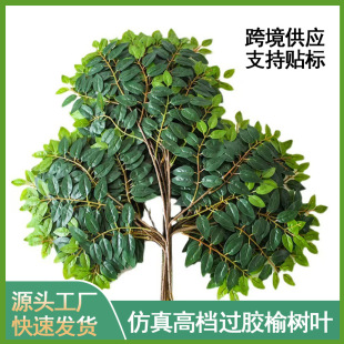 �羳�����z���ܘ��~�ӻ��䗗�~�����쾰�٘��֦�@�־G���b��~