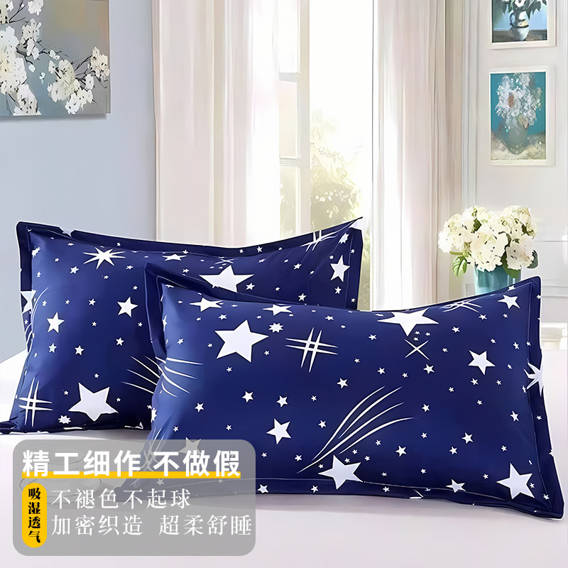 El cielo estrellado ☆ ☆