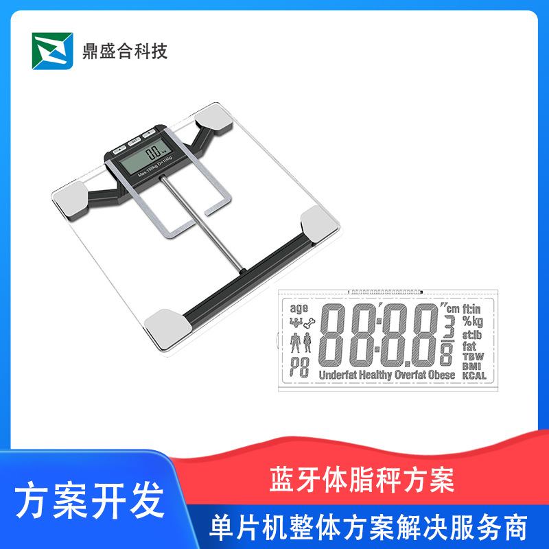 体脂秤智能脂肪秤方案开发 深圳鼎盛合提供软硬件开发设计