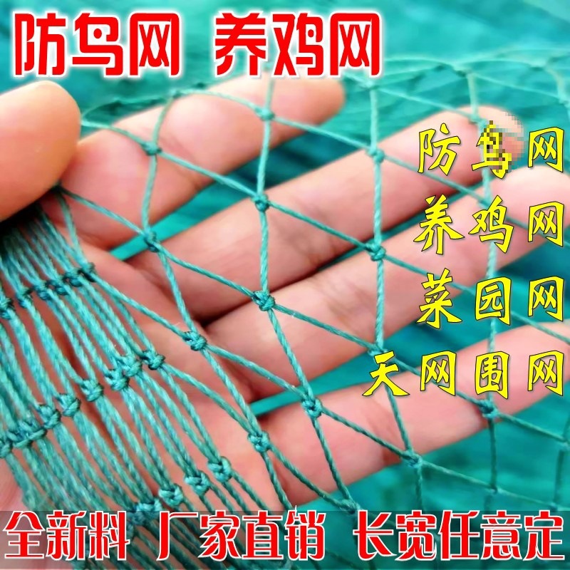 拦鸡网菜园家禽鸡网山鸡养殖网围护栏网网养鸡网尼龙网网防其它