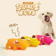 Pet Toys Direct Manufacturer Sale Christmas Pig Sound Enduring Bite Grinding Dog Toys Silicone Scream Pig Dog Toys