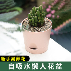 円形自動吸水植木鉢怠け者オフィスデスクトップ多肉緑植プラスチック鉢排水口付き卸売り