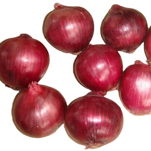 �L�ڼtƤ���[���SƤ���[���gӭǰ��ԃ�r �����xُ �r�񃞻�