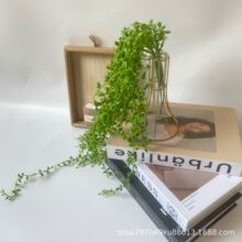 �羳�������˜I�ٗl�ڒ���˼��ܛ����������Gɫֲ��Ҿӻ�c�b�