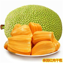 菠萝蜜现摘新鲜树红肉个整装当季水果果肉饱满热带水果树苗