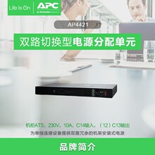 APC梅兰日兰 机架式PDU AP6201CH 基本型机柜专用插座插排现货