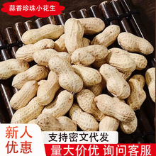 2025新货精选500g蒜香小珍珠花生香熟小粒带壳铁锅现炒即食零食