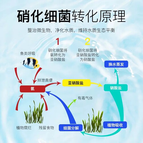 Nitrifying bacteria fish tank water purifier Nitrifying bacteria probiotic digestion fish aquarium water purifier