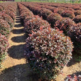 ���~����G�h�����Թ����t�~��U��t�~��60-2�׹ڷ�С�^�G���Ľ�