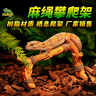������B�������쾰��������΢���^Ȥζ���K������ľ��֬���Ĕ[��