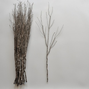 �羳��������ٗl�b��~�ɘ�֦�҃����ټ�ֲ��Gֲ�ڒ���ٻ���