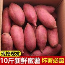 W红薯鲜生坏薯必赔沙地新鲜现挖农家自种地瓜番薯红黄心薯整批发