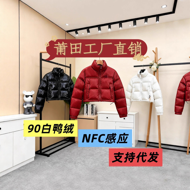 Putian North Face 1984 Kendall Short down Jacket Thickened Stand Collar Women's Winter Trendy down Coat for Cold Protection