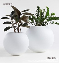 Yl玻璃钢圆形花盆商场球形花钵创意户外步行街异形花箱花器麦太保