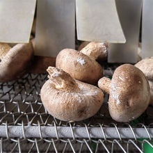 ӜAكˮ كC ʳƽʽكO