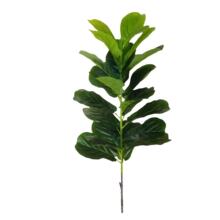 ����Gֲ�羳�������~��ע�����ϴ��l�҃ȴ����쾰�پGֲ�Ҿӻ��@