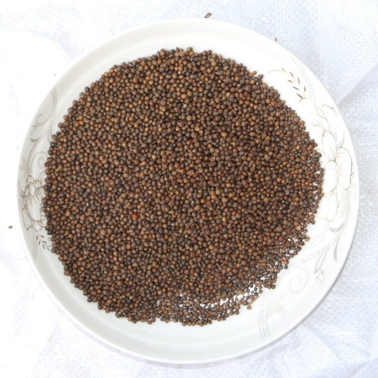 Оптовые поставки семян цветов и растений Озеленение Витекс негундо семена полные спецификации Витекс негундо семена крупные выгодно