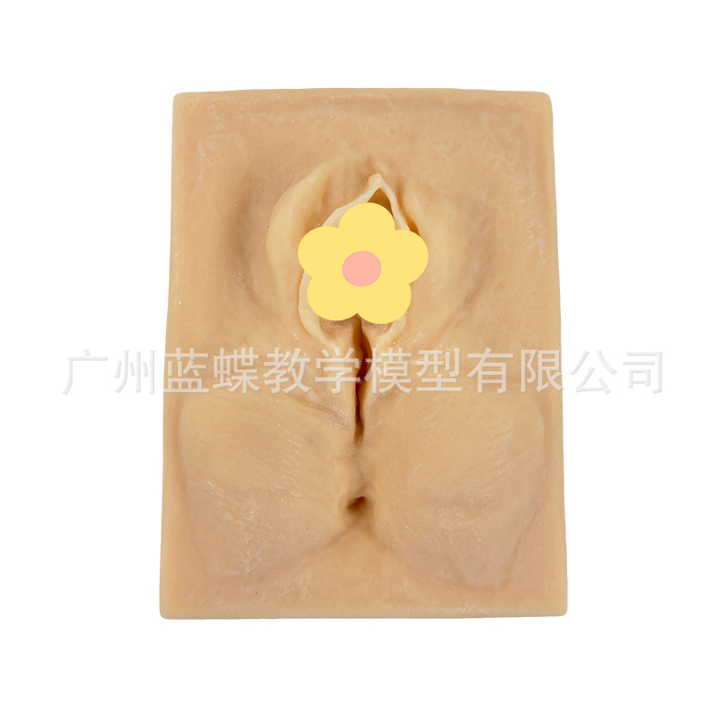 ������רҵ���������ϰģ�ͻ�����ϼ���ѵ��ģ�鸾���Ʒ��ѵ��