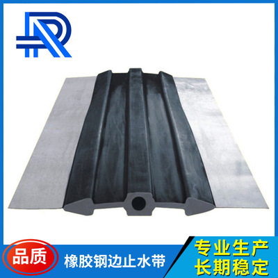 厂家生产 橡胶钢边止水带 止水带现货 各种型号 可定做