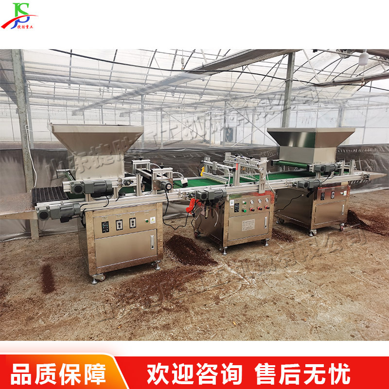 全自动播种育苗一体机 观赏辣椒漂盘育苗机 孔雀草万寿菊育苗机