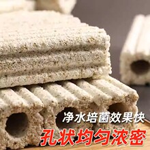 �������~���^�V���ϼ{��ʯӢ�������מV��ˮ�����������������