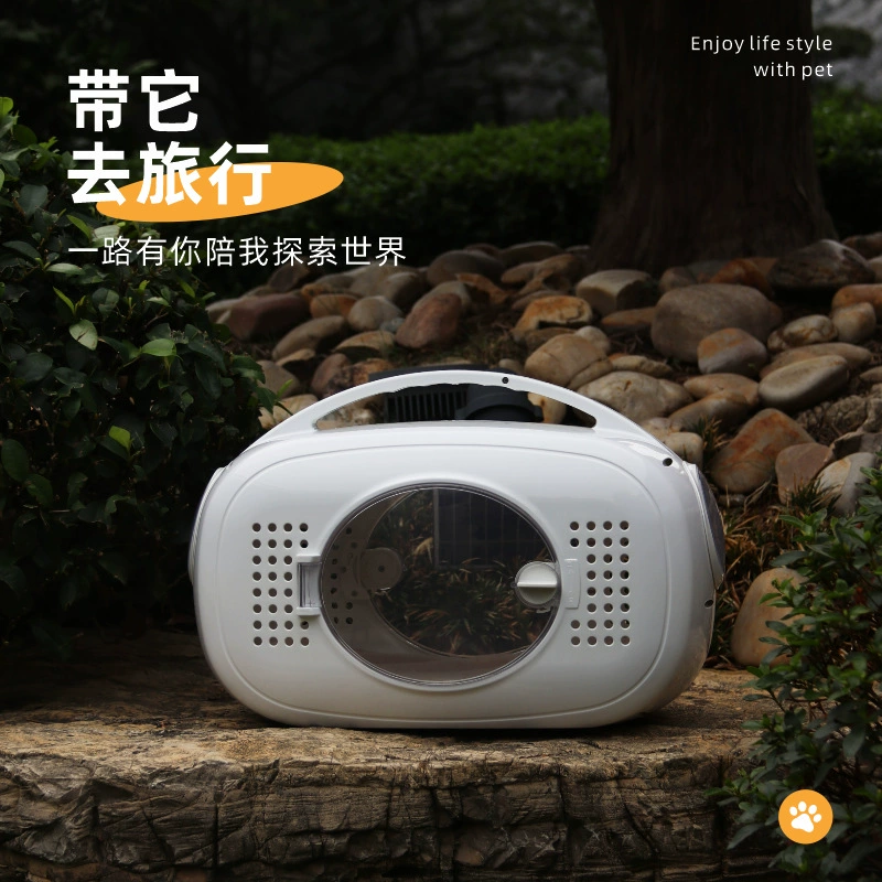 Домашние животные кошки выходят в портативную клетку