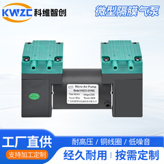 51-01pm2マイクロダイヤフラムポンプナイロンプラスチック24v直流負圧ダブルヘッドポンプ電動正圧吸気ポンプ