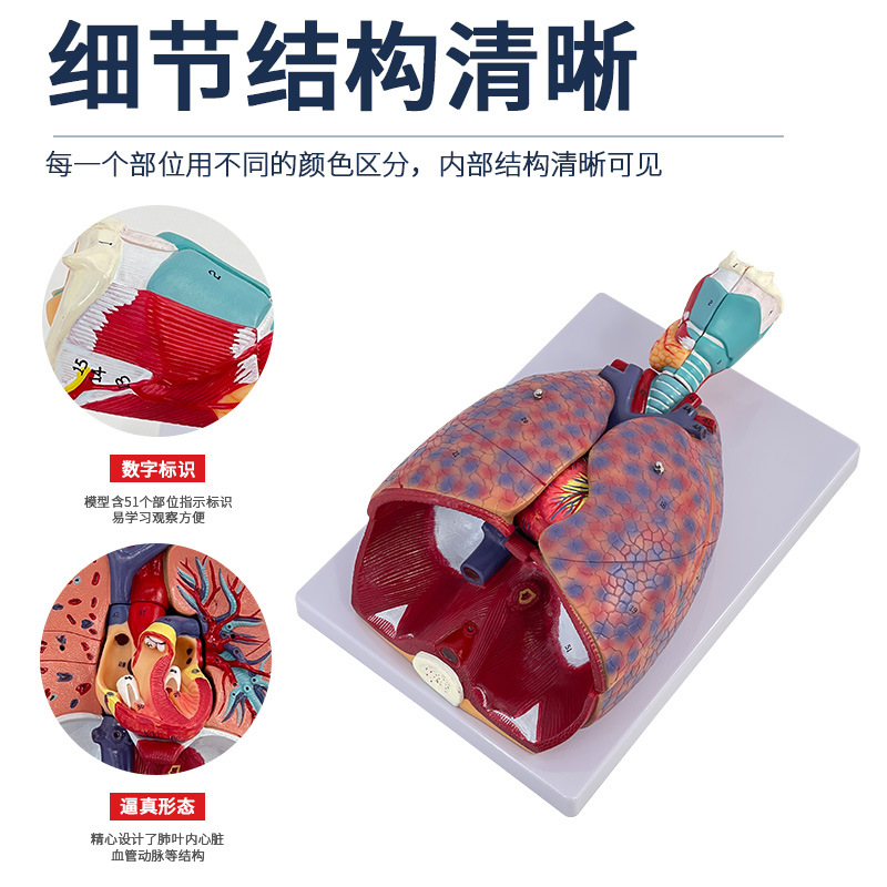 ҽ��������ķκ�����״�ٷ��������ϵͳ�β�������������ģ��