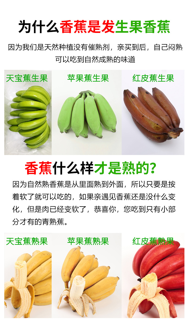 组合香蕉详情018.jpg