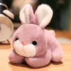 Cute plush toy, children's rabbit, small rag doll, white rabbit, Birthday gift