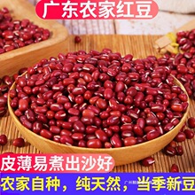 �V�|�tС���r���ԷN�t��޲������s�Z�ؼ�С�t����؛�����ɳ�ʸ�