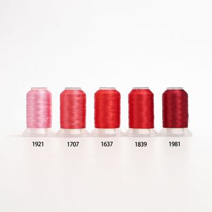 4/5ɫ���b120D�ߏ���]������500�� Polyester Embroidery Thread