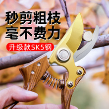 �@��ժ����֦��SK5�Ͻ�䓈@ˇ��������֦�������ʡ����֦