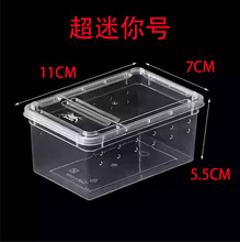 蜘蛛盒螳螂养殖盒爬宠盒蛙龟鳖蚕宝宝观察盒树栖盒地栖盒