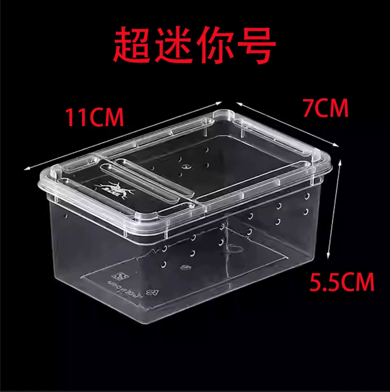 Коробка-паук Коробка для размножения богомола