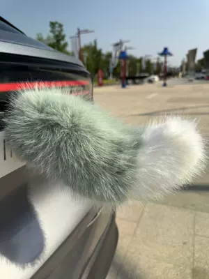 Other Automotive Exterior Supplies, car rear decoration, electric vehicle - bean-green