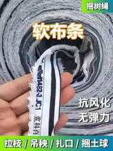 �������K�Ӊ�Ĥ�K��������֦��ľ��֦����K�����������L���l��