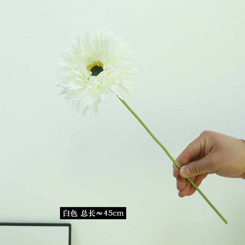 1#하얀색