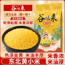 东北小米新米小黄米新小米农家五谷杂粮油糯小米黄小米粥旗舰店