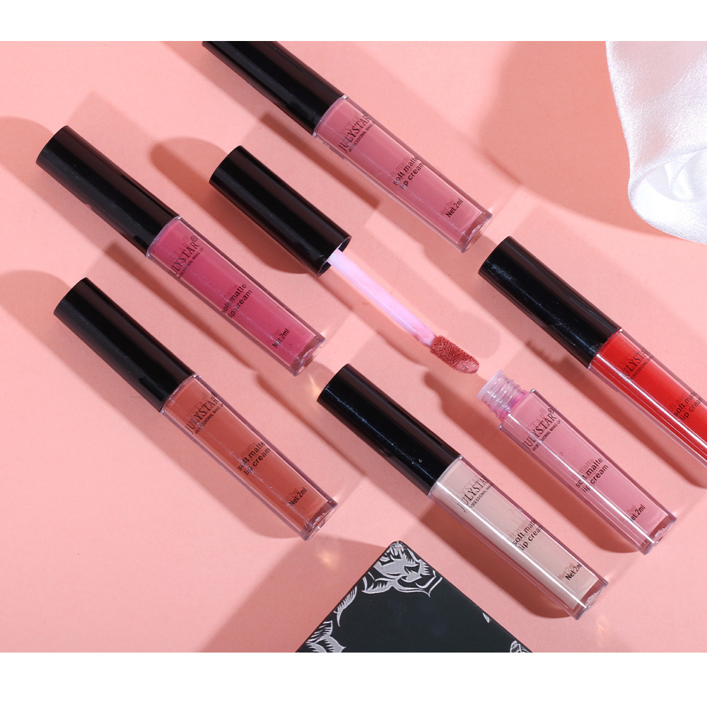 carina Trucco opaco, lucidalabbra multicolore, colore facile da applicare, set di rossetti a tazza antiaderente, a lunga durata_voghion.com