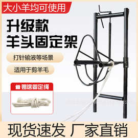 羊头固定架克升降保定架剪羊毛架子羊用固定器挤羊奶推毛羊笼头架