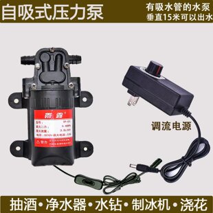 ֱ��΢��ˮ�� 12v�����ø�Ĥ�߉�ϴ܇����220V��Сˮ������ʽ