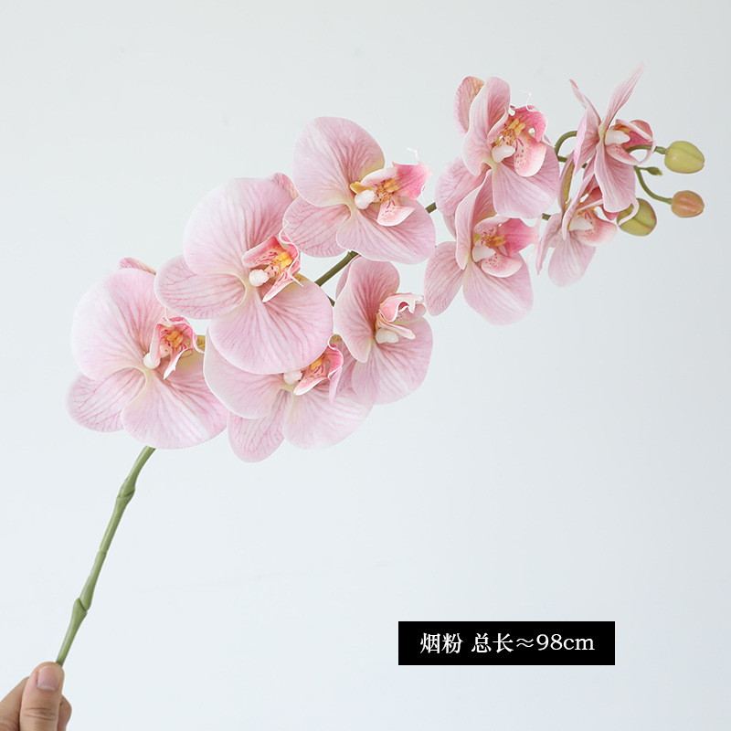 담배가루