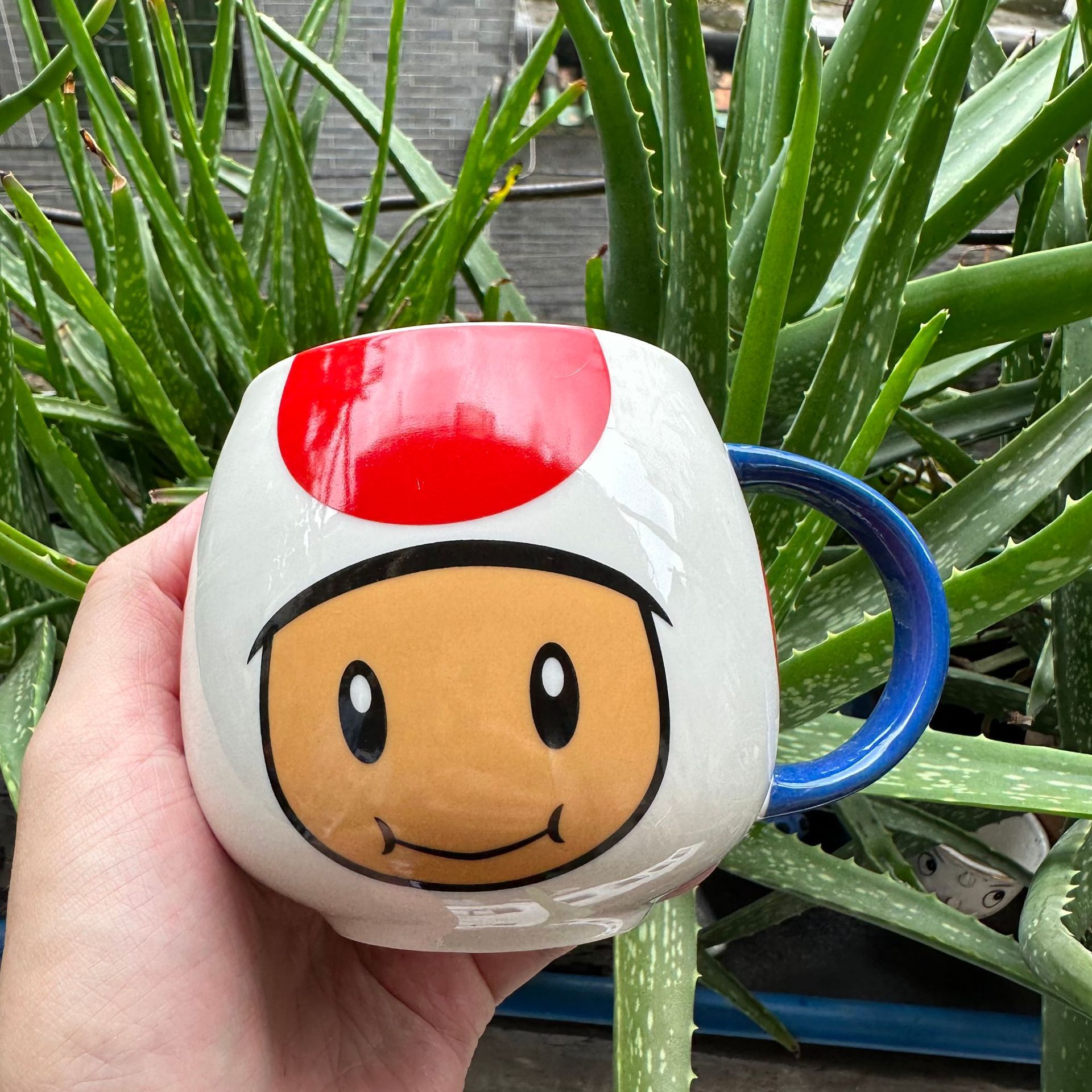 Taza de cerámica de champiñones
