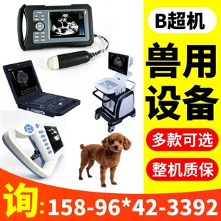 �t��B���ʳ��C �ʳ�B���C�r�� ���l�S�Ҳʳ��C�t���O�� �����ղ�