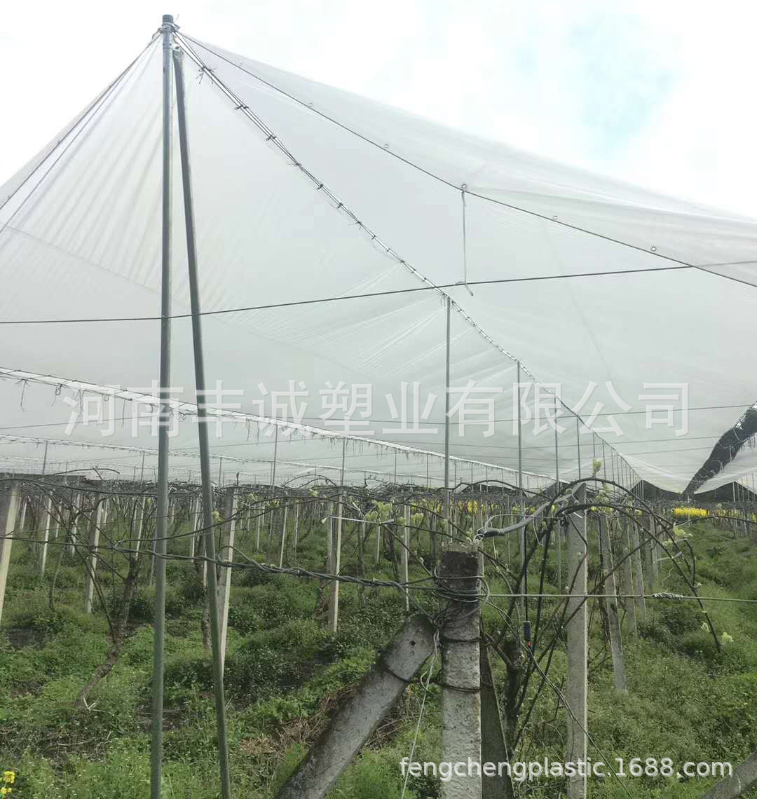 透明编织大棚膜 猕猴桃可用防雨防冰雹膜 农用透光编织膜