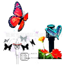 �羳 ���uͨ�ƽ��n��̫���늳غ�������ͥԺ�[��solar butterfly