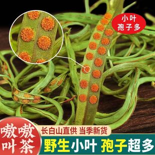 �|��Ұ���I���軯ʯ���S����໽в�100�˰��]���� �L��ɽҰ��